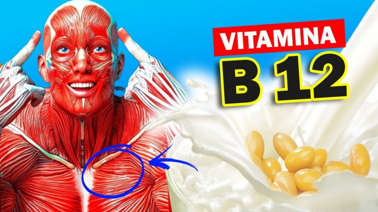 Alimentos Ricos En Vitamina B12 Tabla | Actualizado Septiembre 2024